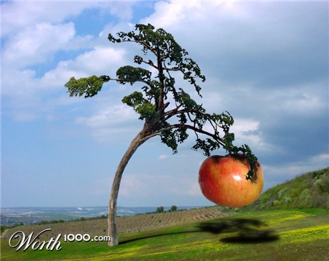 Photoshop Design by briceman92