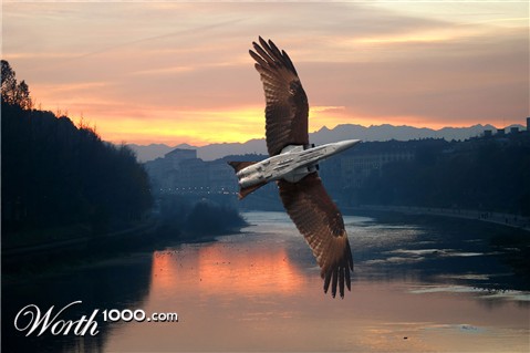 Photoshop Design by DPLabs