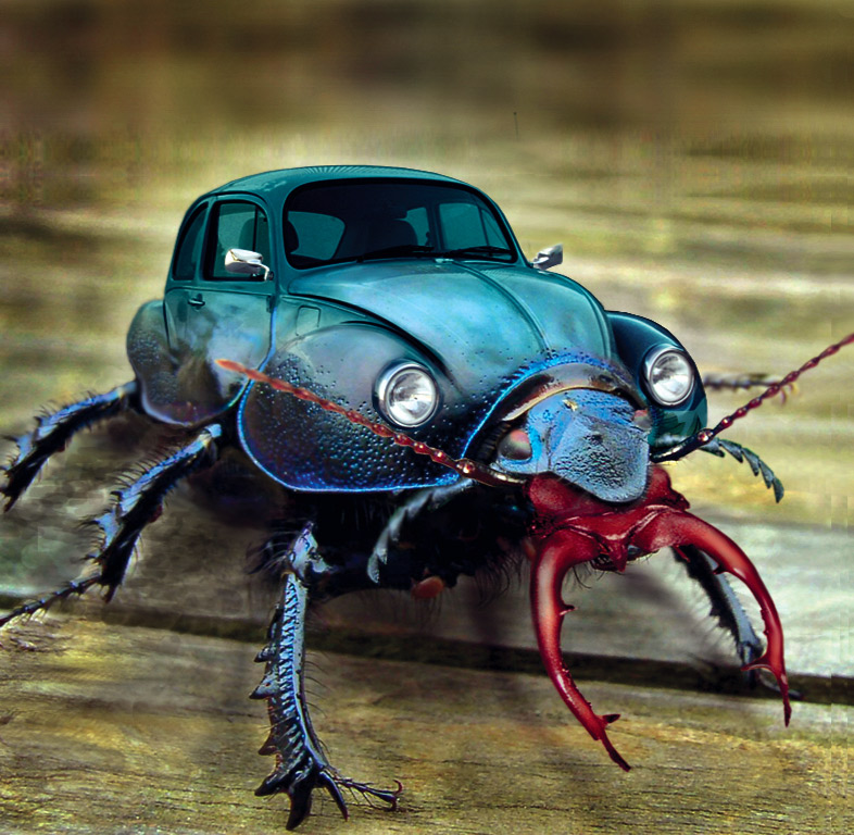 Photoshop Design by Mandrak for DesignCrowd (Community Contests) | Design #8993114