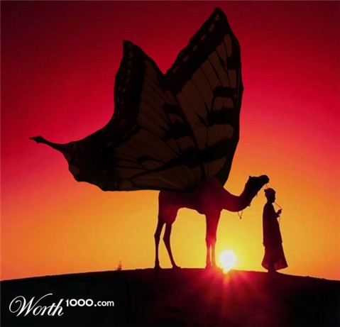 Photoshop Design by spybat015