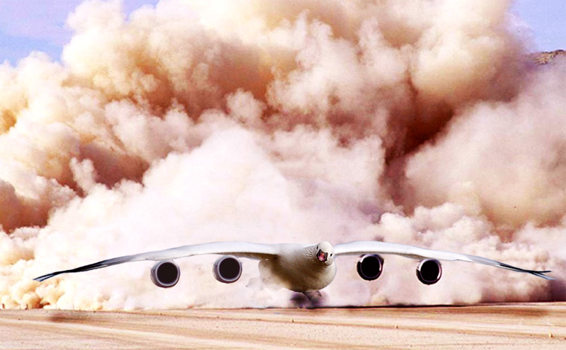 Photoshop Design by underworth for DesignCrowd (Community Contests) | Design #8993128