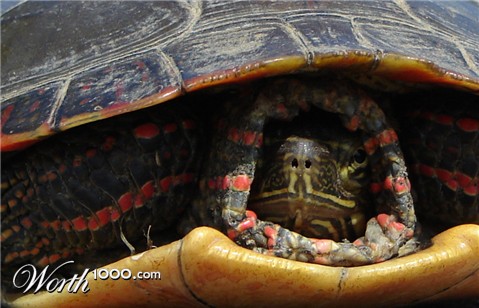 Photography by zoomtictac