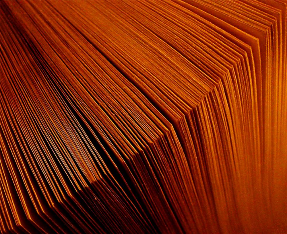 Photographie par Berilu pour DesignCrowd (Community Contests) | Design #8993496