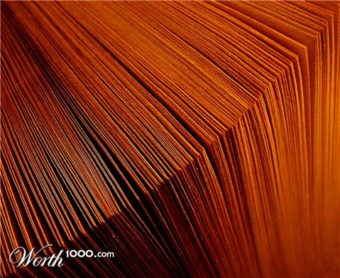 Photography by Berilu