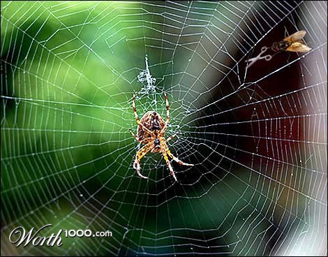 Photoshop Design by Im_refuelin