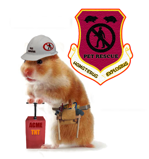 Photoshop Design by Bejeezus for DesignCrowd (Community Contests) | Design #8986718