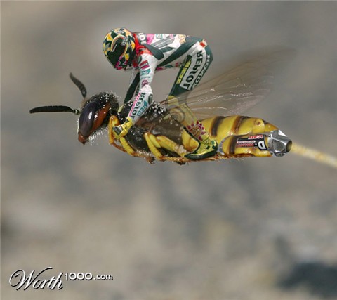 Photoshop Design by CRAZYLEGGSROGERS