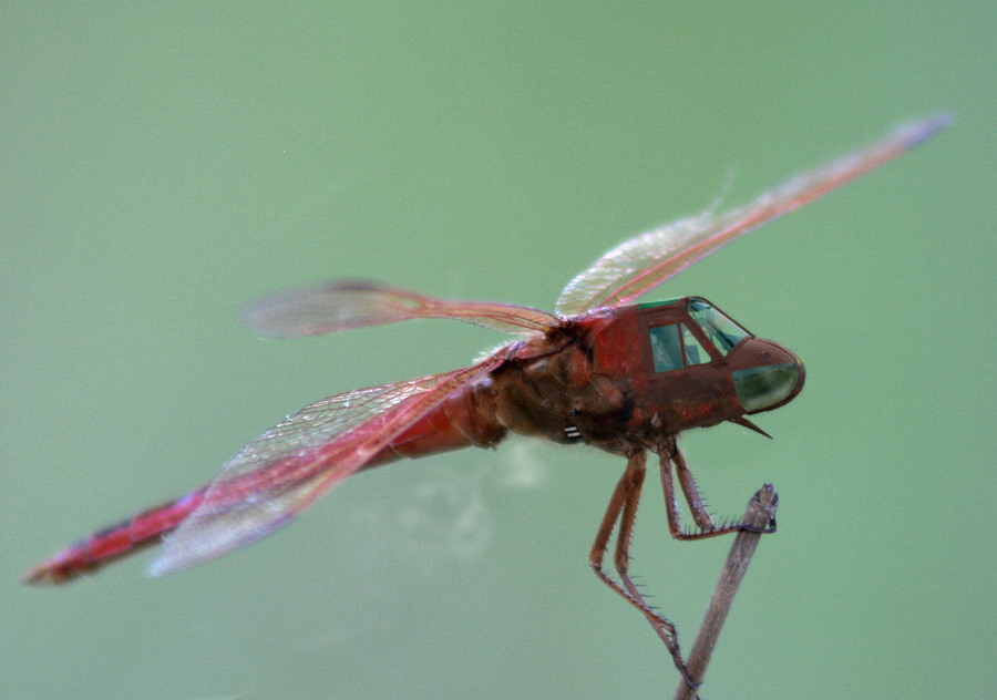 Photoshop Design by GANDAR for DesignCrowd (Community Contests) | Design #8993155