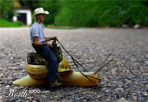 Photoshop Design by A1A1L1O1A1A1M2