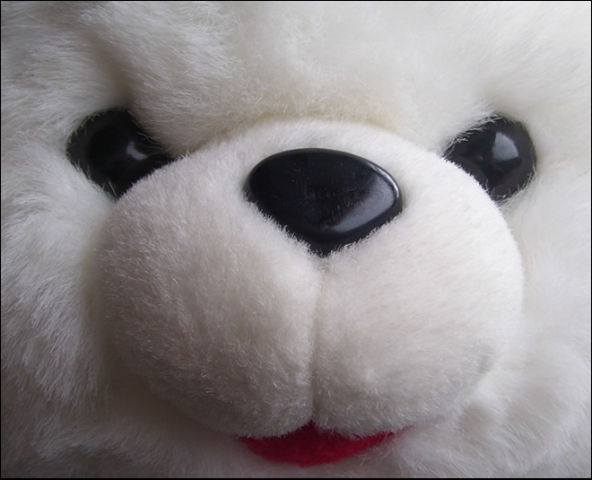 Photography by Andromeda5000 for DesignCrowd (Community Contests) | Design #8993559