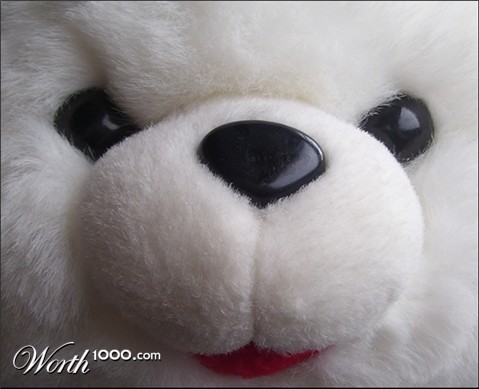 Photography by Andromeda5000