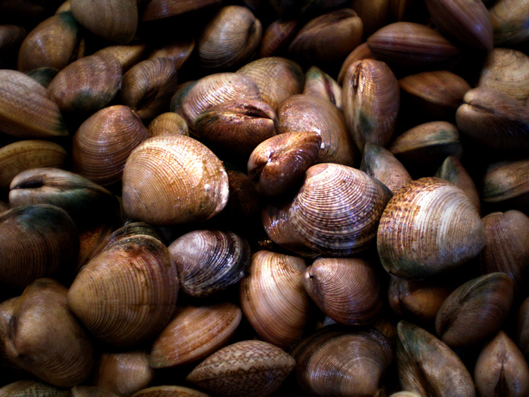 Fotografía por vibrantvee para DesignCrowd (Community Contests) | Diseño #8993586