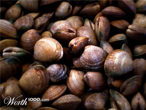 Photography by vibrantvee