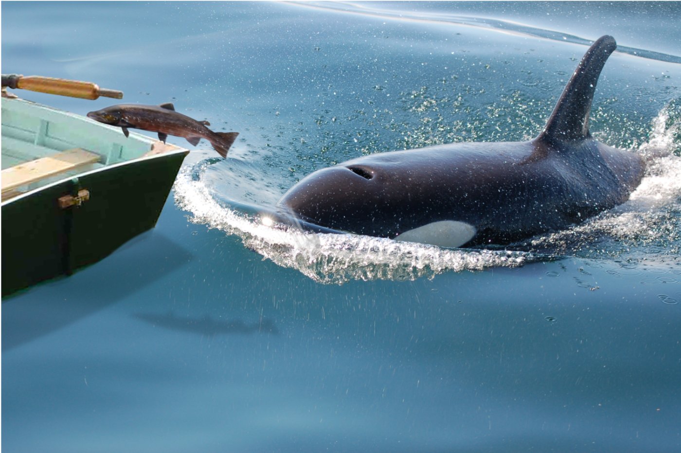 Diseño de Photoshop por reliable para DesignCrowd (Community Contests) | Diseño #8986731