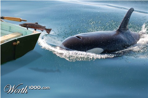 Photoshop Design by reliable