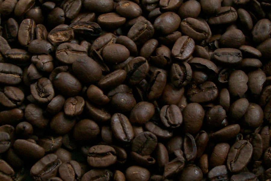 Fotografía por Schanina para DesignCrowd (Community Contests) | Diseño #8993621