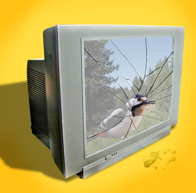 Photoshop-Design von Rocksham für DesignCrowd (Community Contests) | Design #8986728