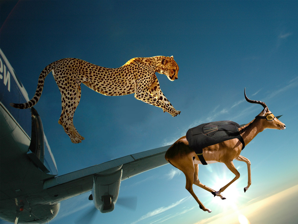 Photoshop Design by lolerccs for DesignCrowd (Community Contests) | Design #8986726