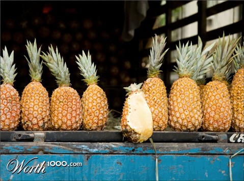 Photography by Pr4ktic