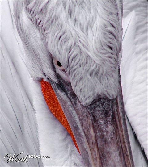 Photography by Pr4ktic