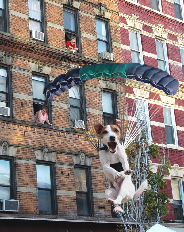 Photoshop Design by memetron for DesignCrowd (Community Contests) | Design #8986745