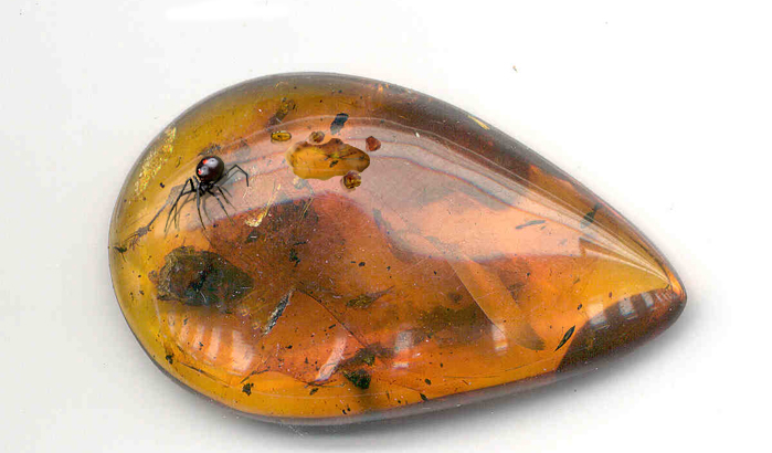 Photoshop Design by Nonian for DesignCrowd (Community Contests) | Design #8986747