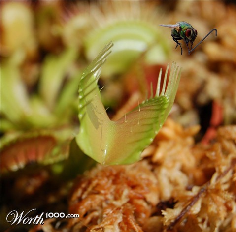 Photoshop Design by Convict