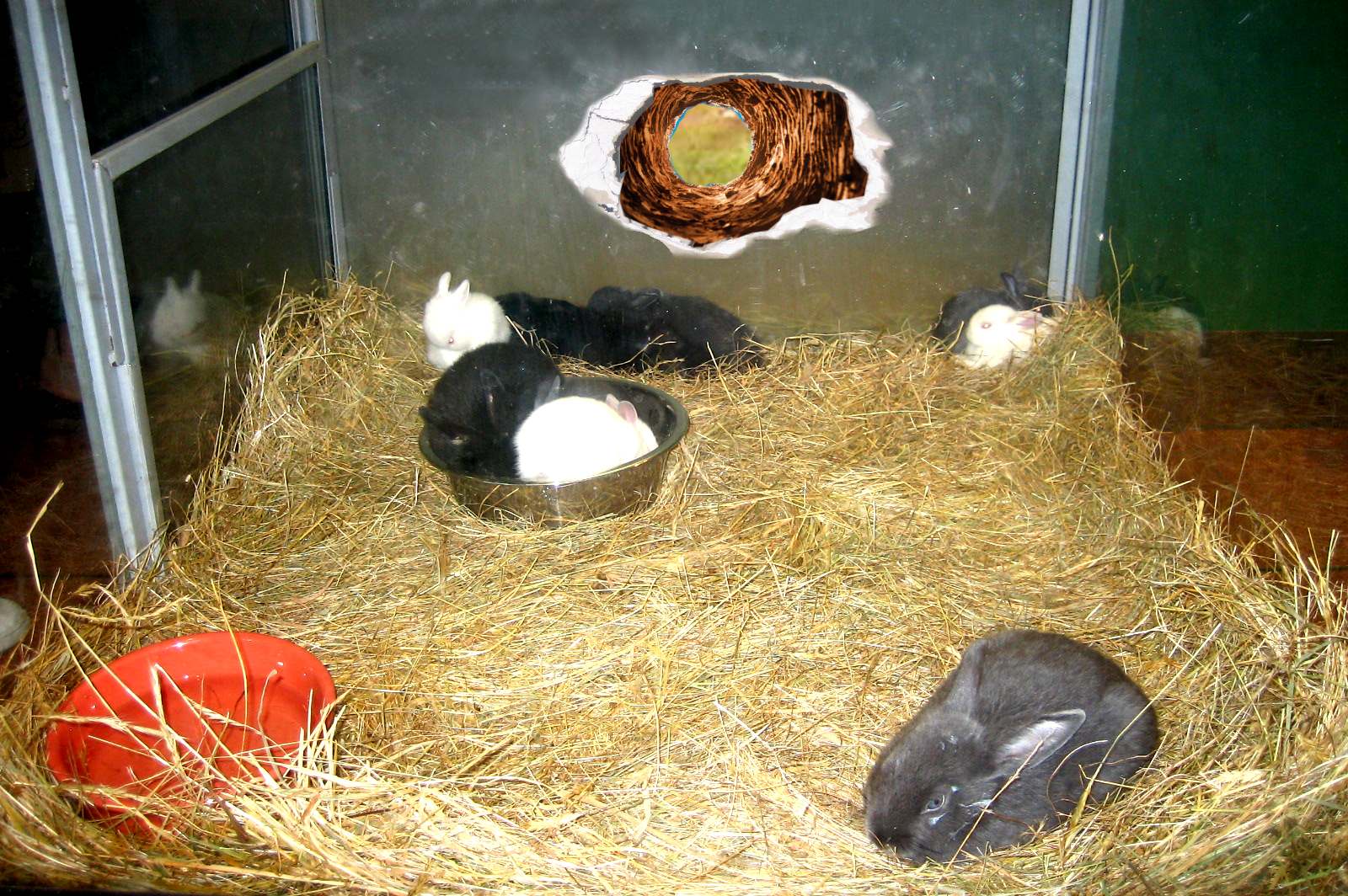 Photoshop Design by philgtaylor for DesignCrowd (Community Contests) | Design #8986742