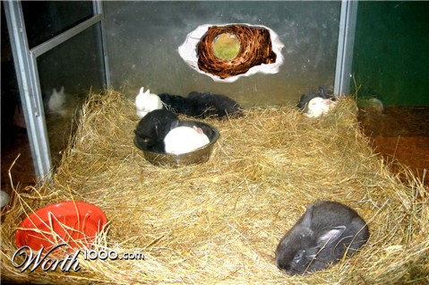 Photoshop Design by philgtaylor