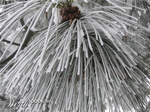 Photography by klxner