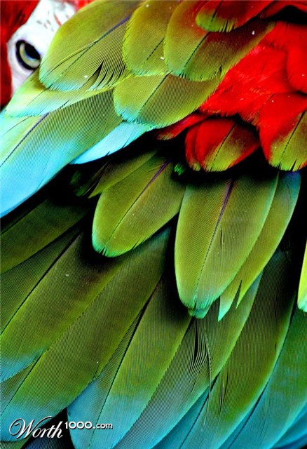 Photography by Viciousvixievenus