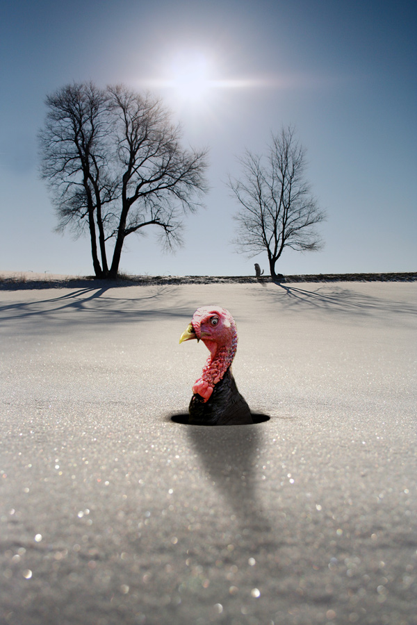 Photoshop Design by GANDAR for DesignCrowd (Community Contests) | Design #8996628