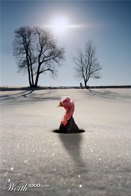 Photoshop Design by GANDAR