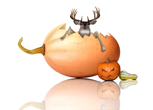 Photoshop Design by Nonian for DesignCrowd (Community Contests) | Design #8996665