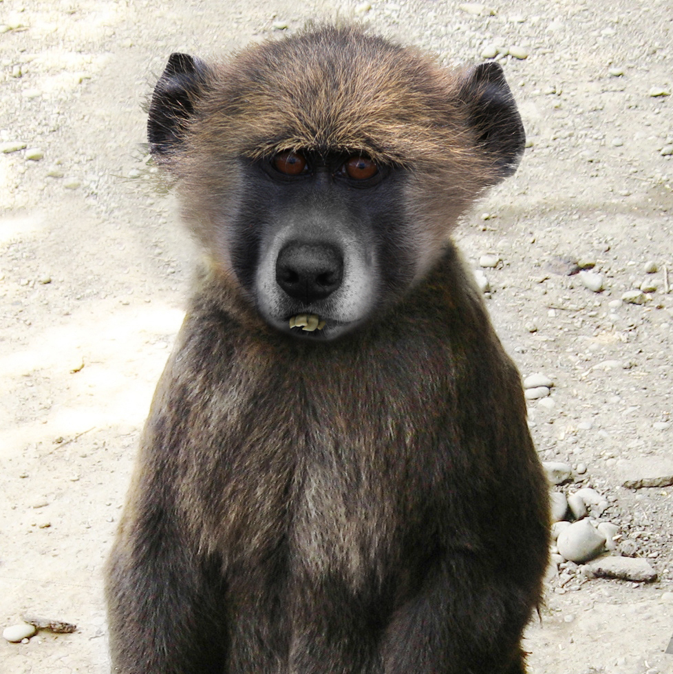 Design Photoshop par dehlius pour DesignCrowd (Community Contests) | Design #8993344