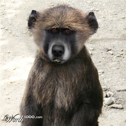 Photoshop Design by dehlius