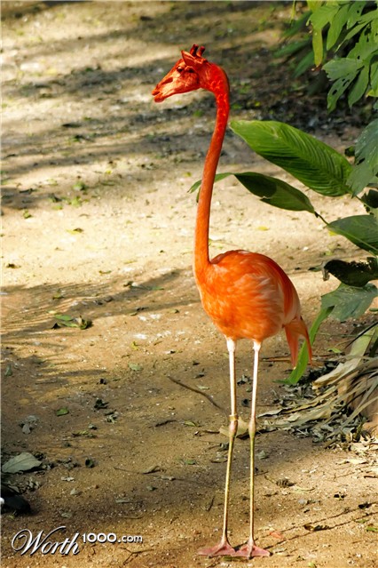 Photoshop Design by fuaath96