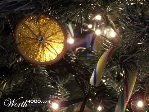 Photography by PieroPPP