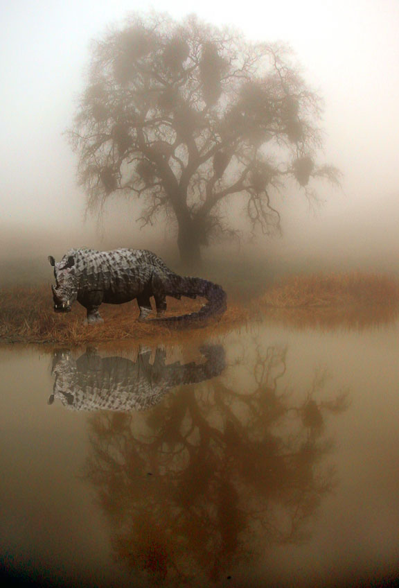 Photoshop Design by assadi84 for DesignCrowd (Community Contests) | Design #8993386