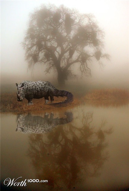 Photoshop Design by assadi84