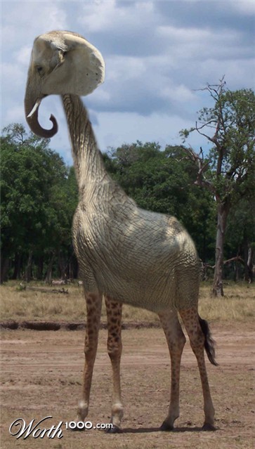 Photoshop Design by SilentNutcracker