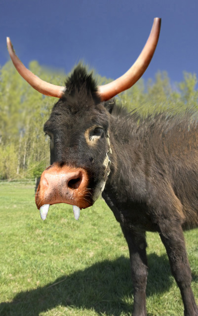 Photoshop-Design von BigMendel für DesignCrowd (Community Contests) | Design #8993391