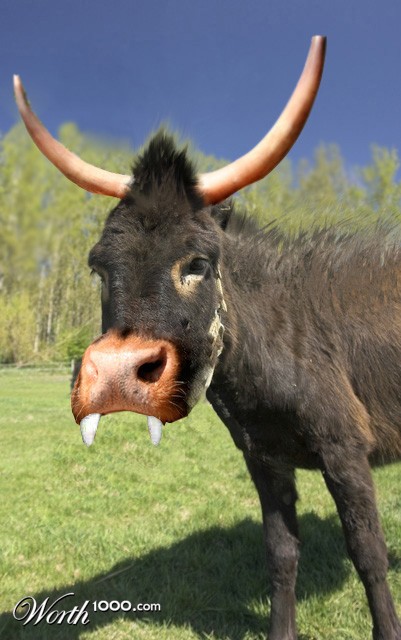 Photoshop Design by BigMendel