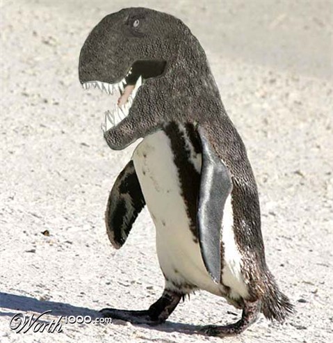 Photoshop Design by TaylorVirtue