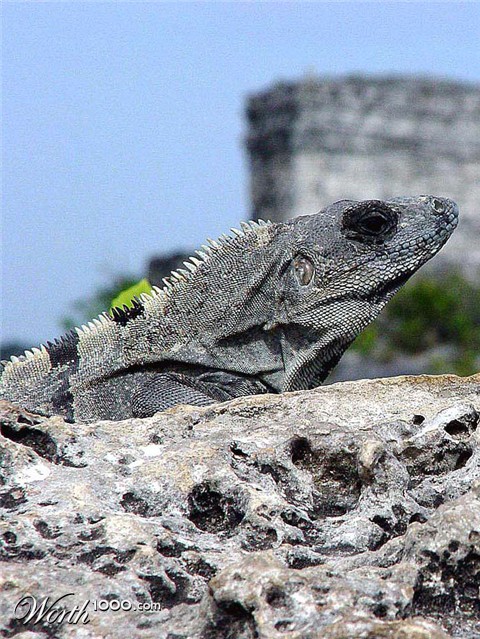 Photography by ljvgtj