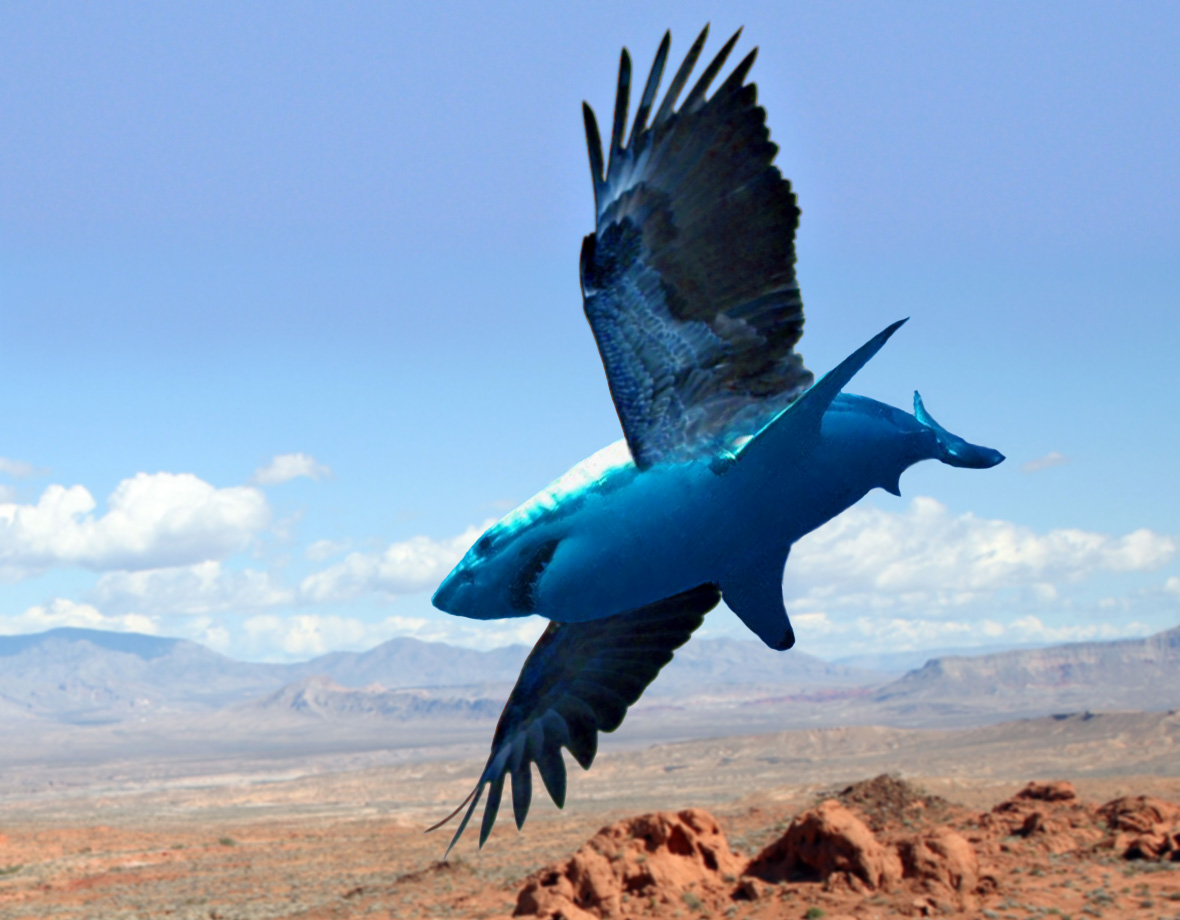 Photoshop Design by swemax for DesignCrowd (Community Contests) | Design #8993372