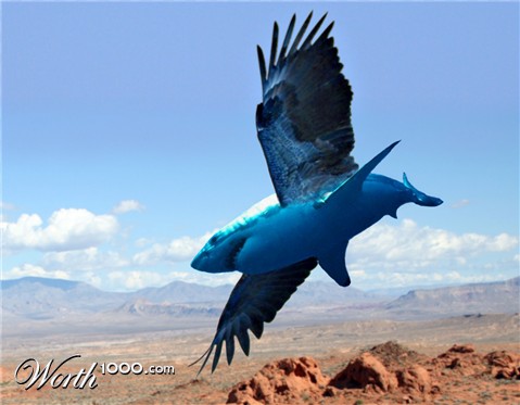 Photoshop Design by swemax