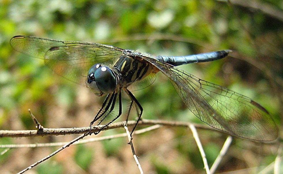 Photography by orazio for DesignCrowd (Community Contests) | Design #8990782