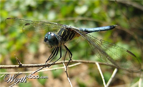 Photography by orazio