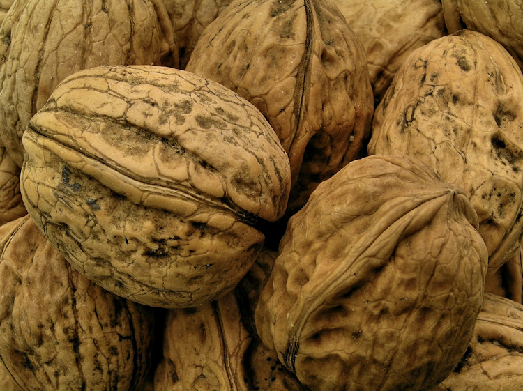 Photography by ercolano for DesignCrowd (Community Contests) | Design #8993936